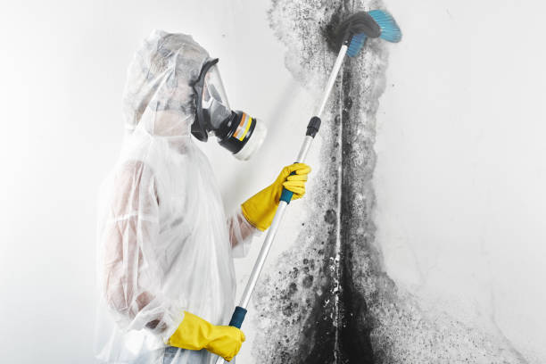 Best Airborne Mold Testing  in , CT