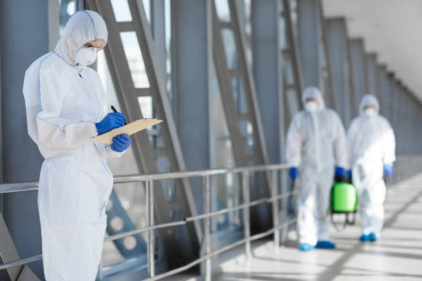 Best Emergency Mold Remediation  in , CT