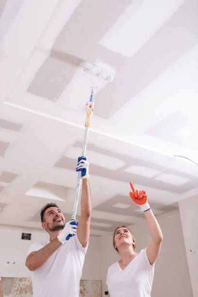 Best Residential Mold Inspection & Testing  in , CT