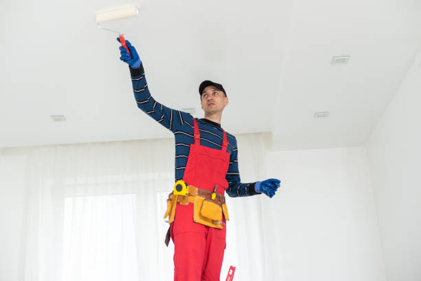 Best Black Mold Removal  in , CT
