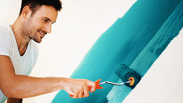  , CT Mold Removal Pros