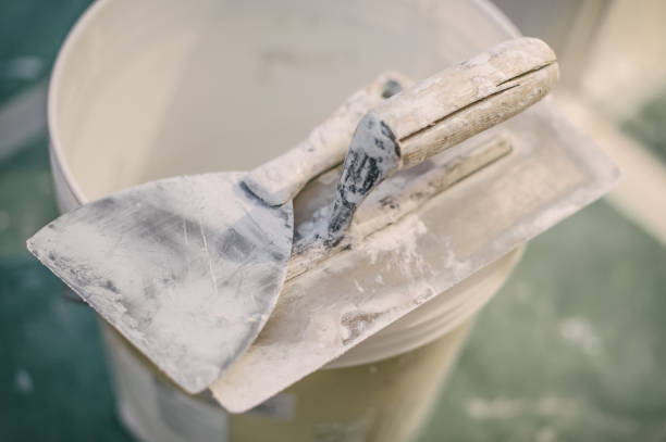 Best Mold Prevention Services  in , CT