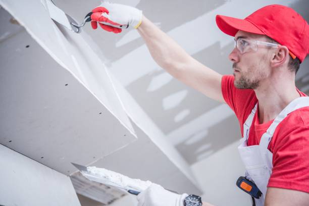 Best Industrial Mold Remediation  in , CT